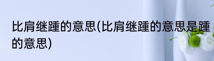 比肩继踵的意思(比肩继踵的意思是踵的意思)