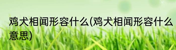 鸡犬相闻形容什么(鸡犬相闻形容什么意思)