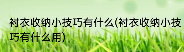 衬衣收纳小技巧有什么(衬衣收纳小技巧有什么用)