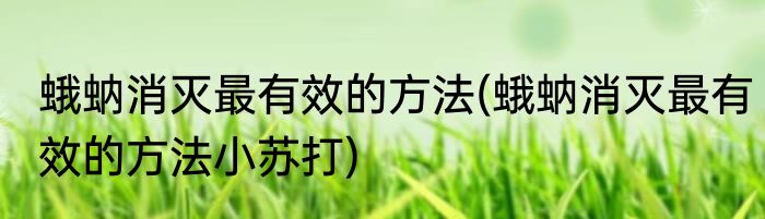 蛾蚋消灭最有效的方法(蛾蚋消灭最有效的方法小苏打)