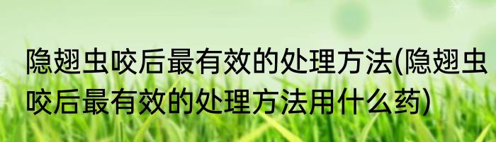 隐翅虫咬后最有效的处理方法(隐翅虫咬后最有效的处理方法用什么药)