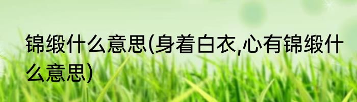 锦缎什么意思(身着白衣,心有锦缎什么意思)
