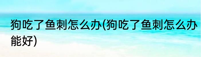 狗吃了鱼刺怎么办(狗吃了鱼刺怎么办能好)