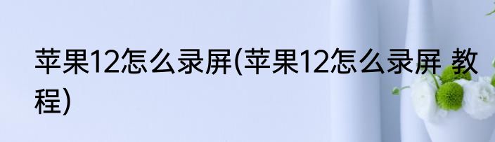 苹果12怎么录屏(苹果12怎么录屏 教程)