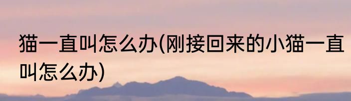 猫一直叫怎么办(刚接回来的小猫一直叫怎么办)