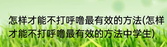怎样才能不打呼噜最有效的方法(怎样才能不打呼噜最有效的方法中学生)
