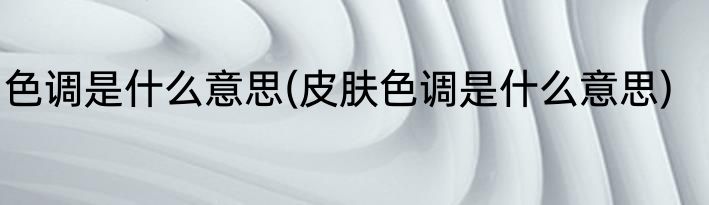 色调是什么意思(皮肤色调是什么意思)