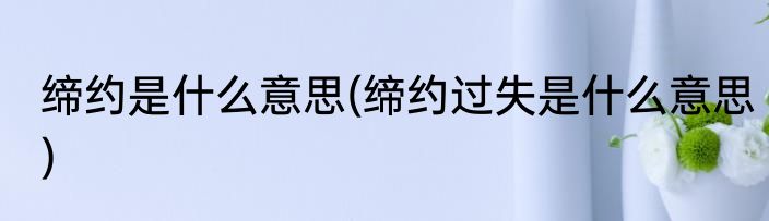 缔约是什么意思(缔约过失是什么意思)