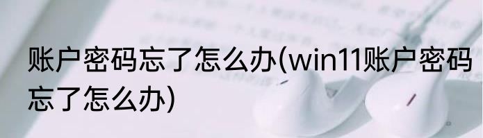 账户密码忘了怎么办(win11账户密码忘了怎么办)