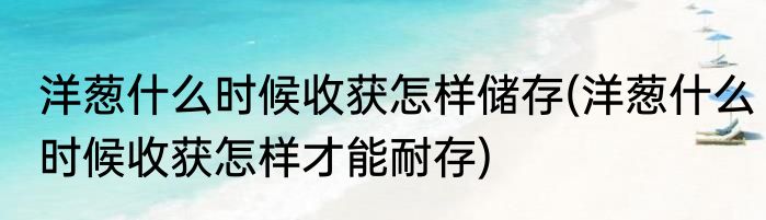 洋葱什么时候收获怎样储存(洋葱什么时候收获怎样才能耐存)