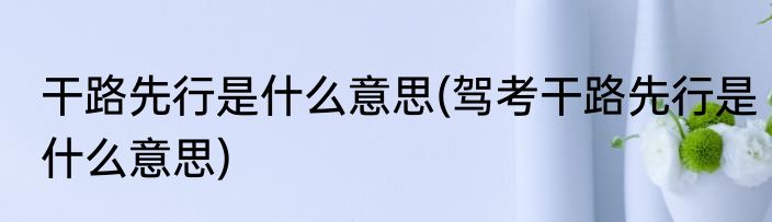干路先行是什么意思(驾考干路先行是什么意思)