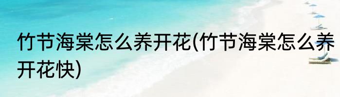 竹节海棠怎么养开花(竹节海棠怎么养开花快)