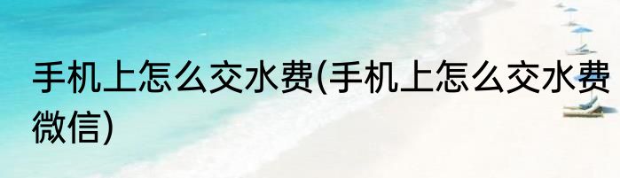 手机上怎么交水费(手机上怎么交水费微信)