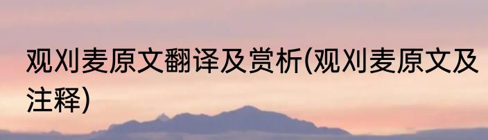 观刈麦原文翻译及赏析(观刈麦原文及注释)