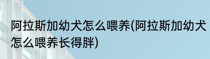 阿拉斯加幼犬怎么喂养(阿拉斯加幼犬怎么喂养长得胖)