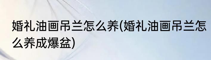 婚礼油画吊兰怎么养(婚礼油画吊兰怎么养成爆盆)