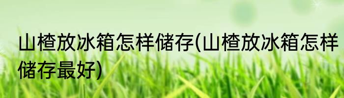 山楂放冰箱怎样储存(山楂放冰箱怎样储存最好)