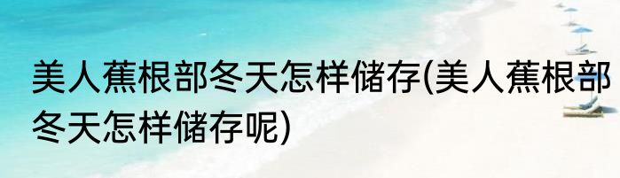 美人蕉根部冬天怎样储存(美人蕉根部冬天怎样储存呢)