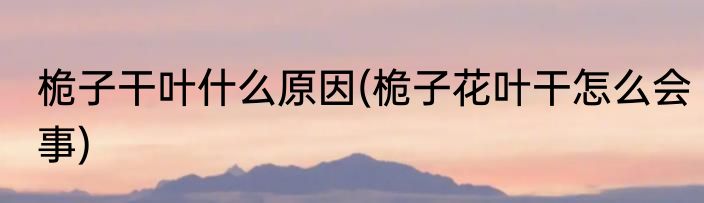 桅子干叶什么原因(桅子花叶干怎么会事)