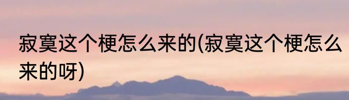 寂寞这个梗怎么来的(寂寞这个梗怎么来的呀)