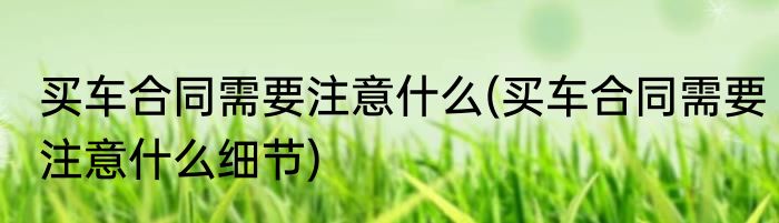 买车合同需要注意什么(买车合同需要注意什么细节)