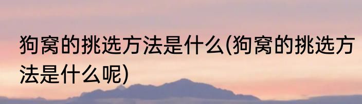 狗窝的挑选方法是什么(狗窝的挑选方法是什么呢)