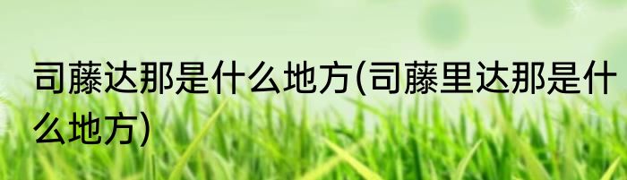 司藤达那是什么地方(司藤里达那是什么地方)