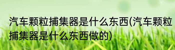 汽车颗粒捕集器是什么东西(汽车颗粒捕集器是什么东西做的)