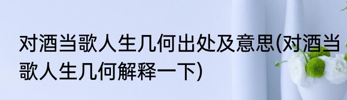 对酒当歌人生几何出处及意思(对酒当歌人生几何解释一下)