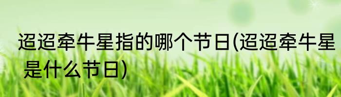 迢迢牵牛星指的哪个节日(迢迢牵牛星 是什么节日)