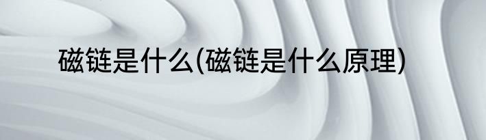 磁链是什么(磁链是什么原理)