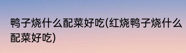 鸭子烧什么配菜好吃(红烧鸭子烧什么配菜好吃)