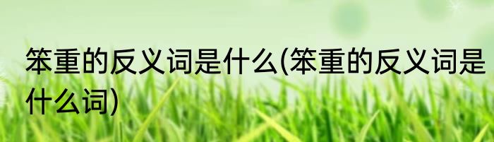 笨重的反义词是什么(笨重的反义词是什么词)