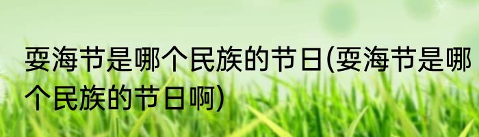 耍海节是哪个民族的节日(耍海节是哪个民族的节日啊)