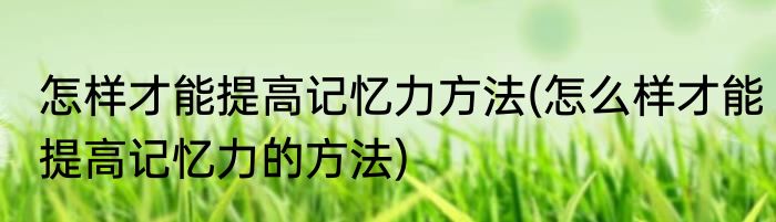 怎样才能提高记忆力方法(怎么样才能提高记忆力的方法)