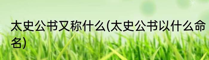 太史公书又称什么(太史公书以什么命名)