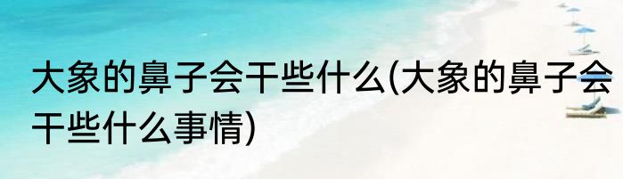 大象的鼻子会干些什么(大象的鼻子会干些什么事情)
