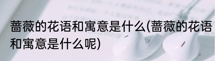 蔷薇的花语和寓意是什么(蔷薇的花语和寓意是什么呢)