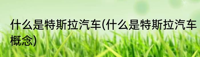 什么是特斯拉汽车(什么是特斯拉汽车概念)