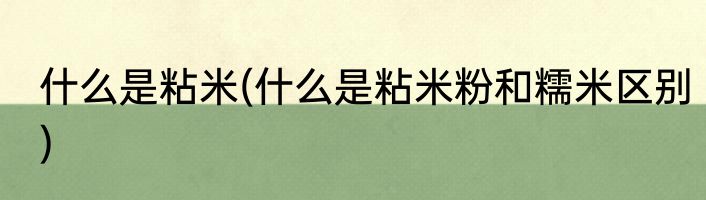 什么是粘米(什么是粘米粉和糯米区别)