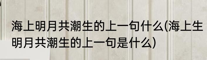 海上明月共潮生的上一句什么(海上生明月共潮生的上一句是什么)