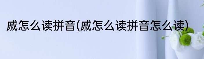 戚怎么读拼音(戚怎么读拼音怎么读)