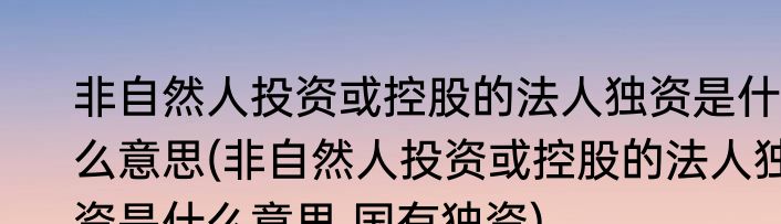 非自然人投资或控股的法人独资是什么意思(非自然人投资或控股的法人独资是什么意思 国有独资)