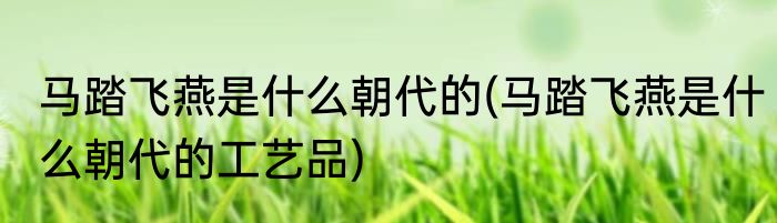 马踏飞燕是什么朝代的(马踏飞燕是什么朝代的工艺品)