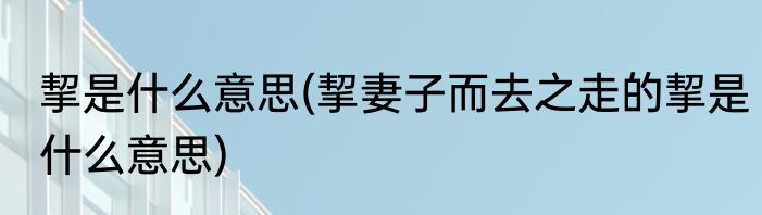 挈是什么意思(挈妻子而去之走的挈是什么意思)