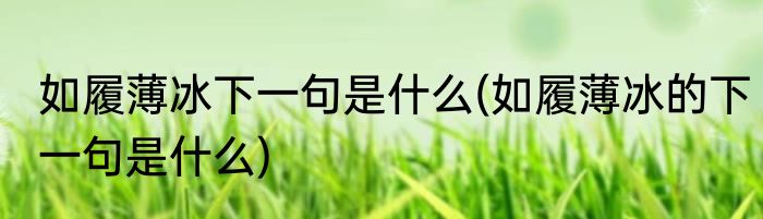 如履薄冰下一句是什么(如履薄冰的下一句是什么)