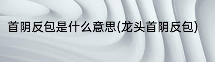 首阴反包是什么意思(龙头首阴反包)