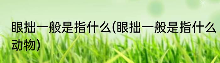 眼拙一般是指什么(眼拙一般是指什么动物)