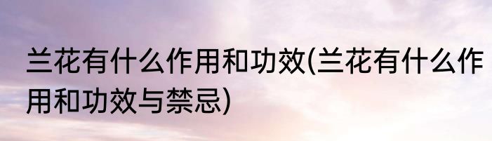 兰花有什么作用和功效(兰花有什么作用和功效与禁忌)