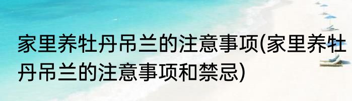家里养牡丹吊兰的注意事项(家里养牡丹吊兰的注意事项和禁忌)